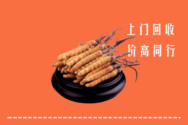 高价求购：无锡回收散虫草