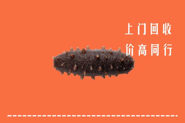 高价求购：无锡回收海参