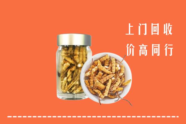 无锡回收冬虫夏草