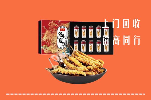 无锡回收虫草